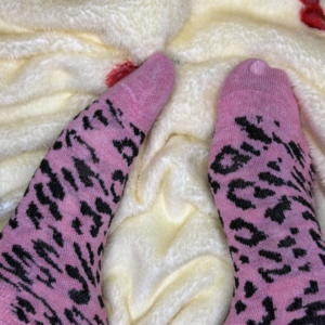 ScreenShot_2026-02-28_175821_690