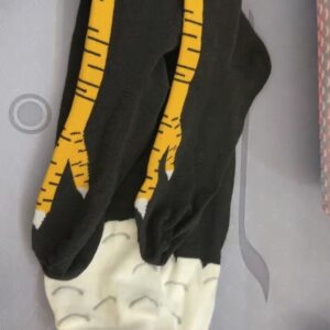 微信图片_20260212164439_576_1976