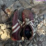 微信图片_20260305134014_993_1976