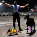 微信图片_20260330182501_1773_4(1)